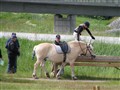 Bild 1771.jpg