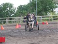 Bild 2250.jpg