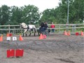 Bild 2264.jpg