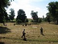 Bild 2377.jpg