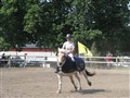 Bild 2510.jpg