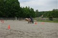 DSC06608.JPG
