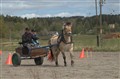 DSC_8803.jpg