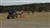 20100425104.JPG